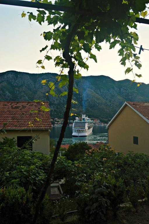 Apartments Bucin Kotor Bagian luar foto